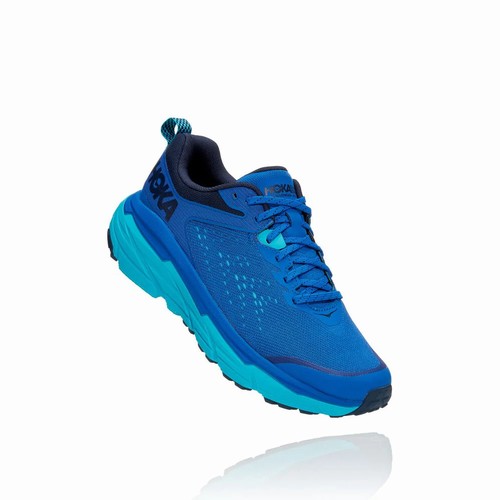 Hoka One One CHALLENGER ATR 6 Wides Shoes For Men India Blue IN-0258